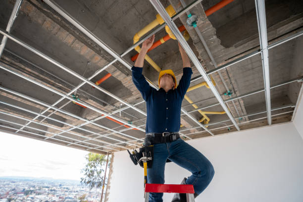 Best Clogged Drain Plumber  in Perry, IA