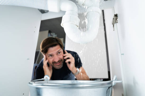 Best Same-Day Plumbing Service  in Perry, IA