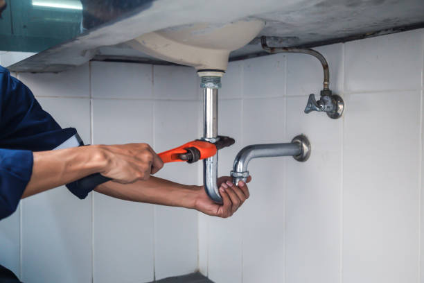 Best Leak Detection Services  in Perry, IA